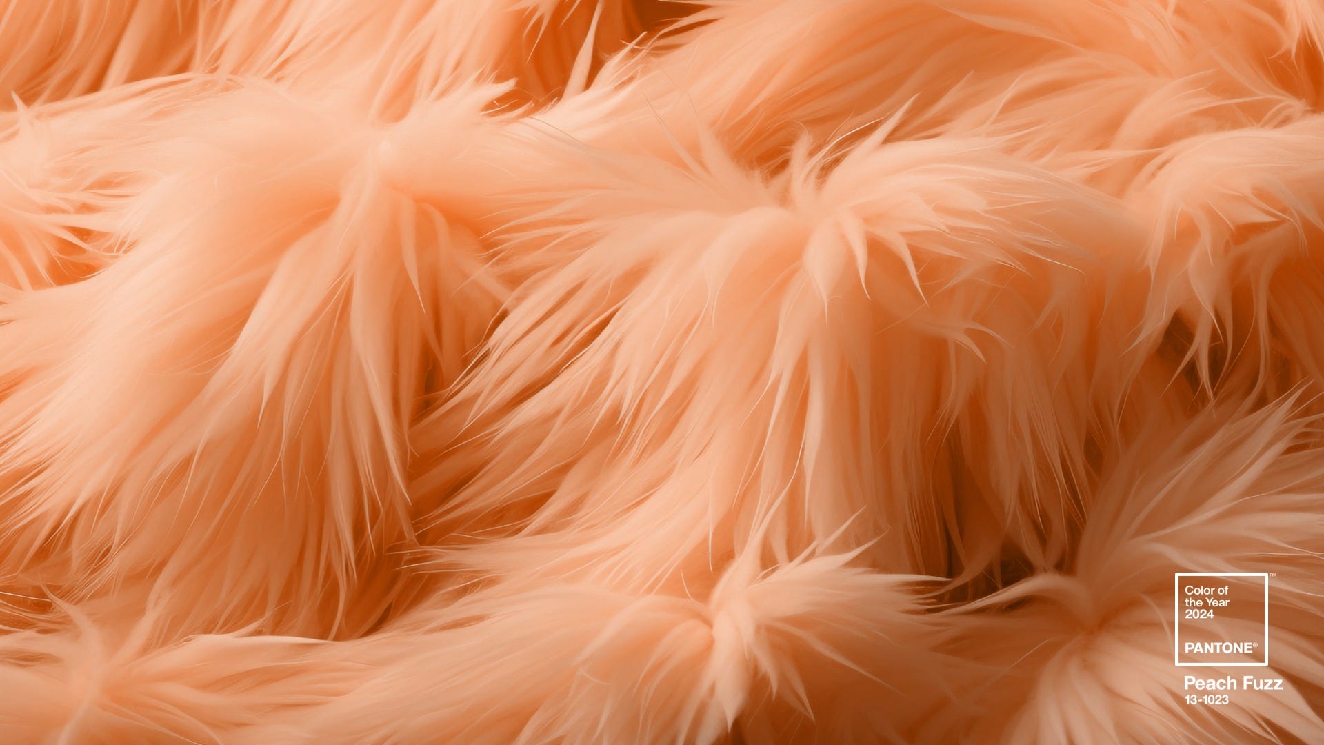 peach fuzz Pantone color of the year 2024